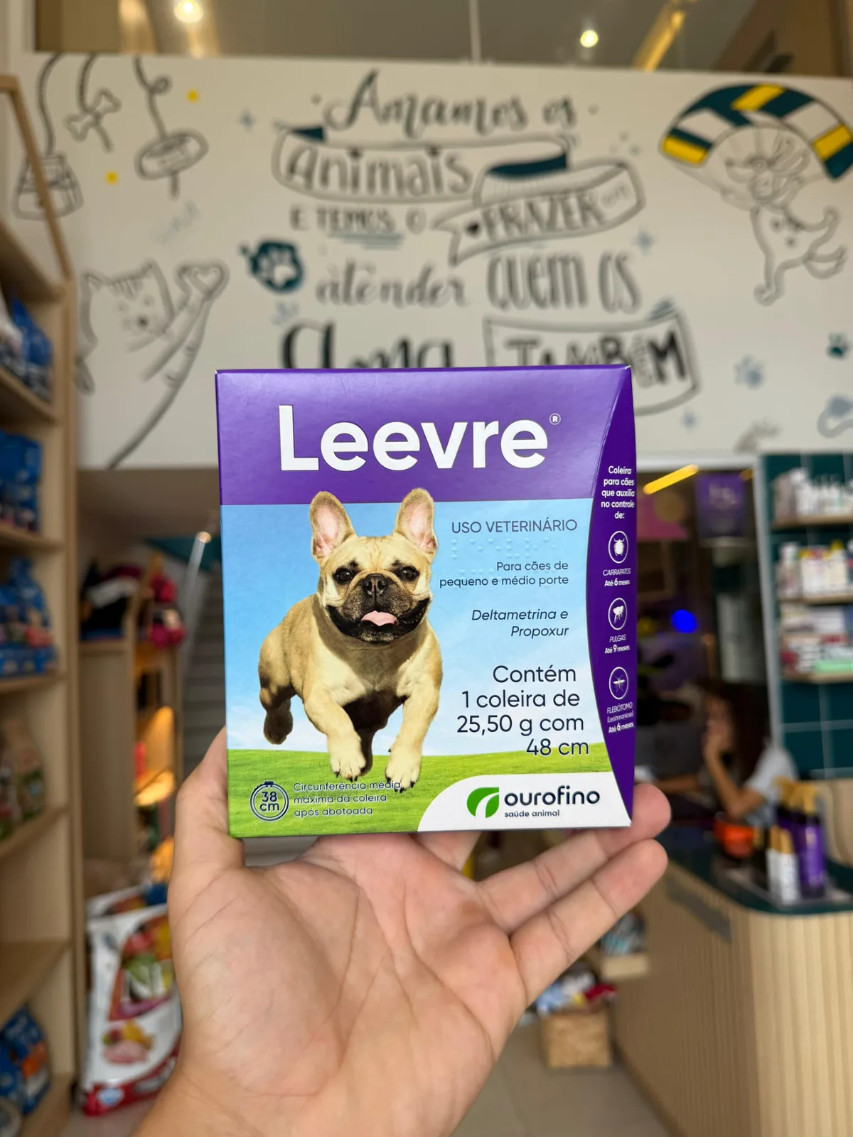 LEEVRE 48CM