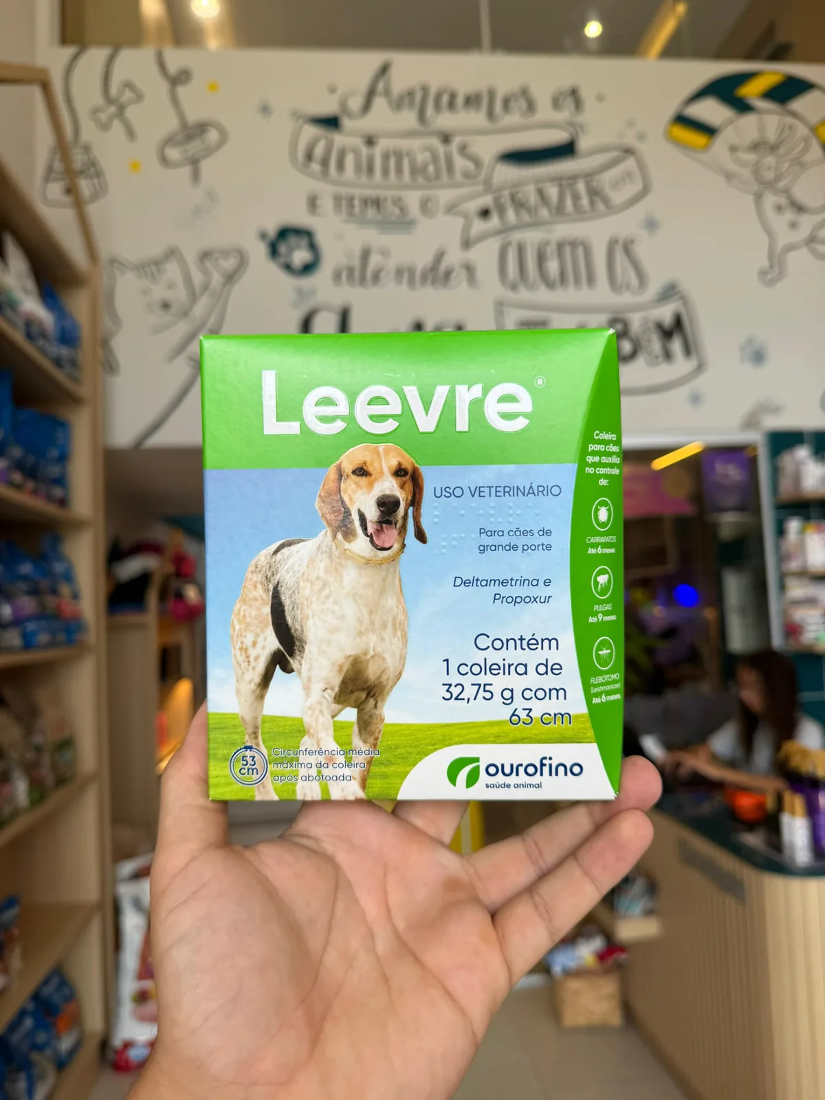 LEEVRE 63CM